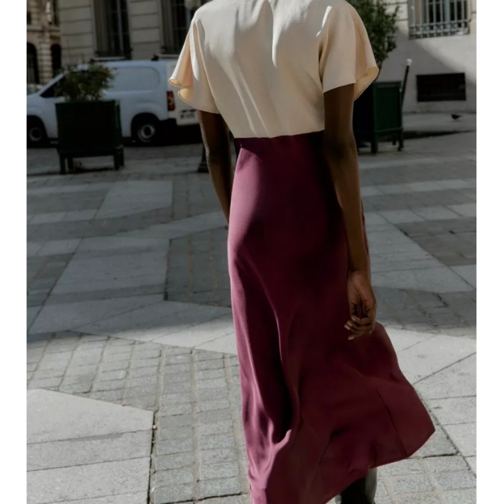Zara Burgundy and Cream Maxi Skirt - Picture 3 of 6